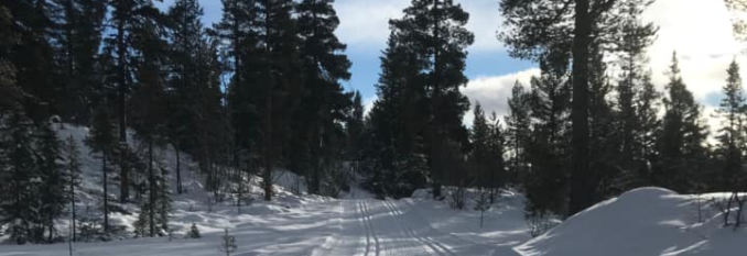 Tirsdagsrenn
